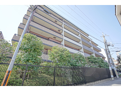 現地外観写真 外観