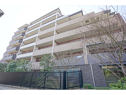 現地外観写真 外観