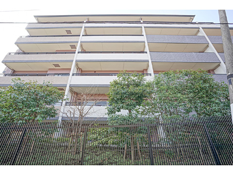 現地外観写真 外観