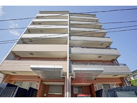 現地外観写真 外観