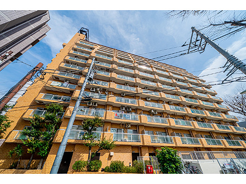 現地外観写真 外観