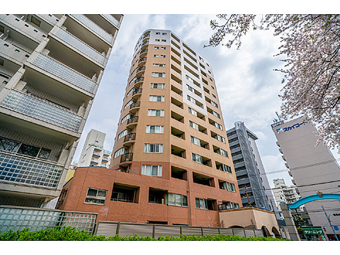 現地外観写真 外観