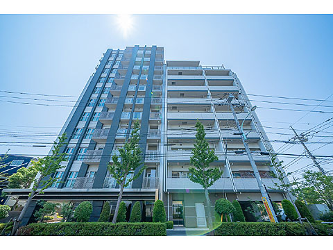 現地外観写真 外観