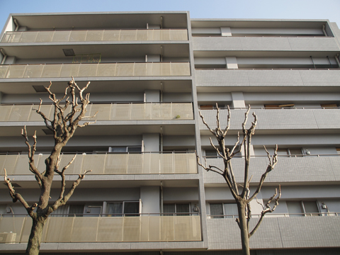 その他共用部　外観2