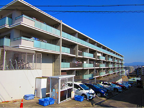 現地外観写真 建物外観(南西側)