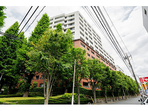 現地外観写真 建物外観