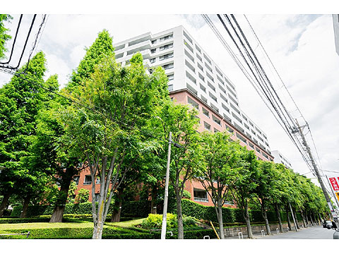 現地外観写真 建物外観