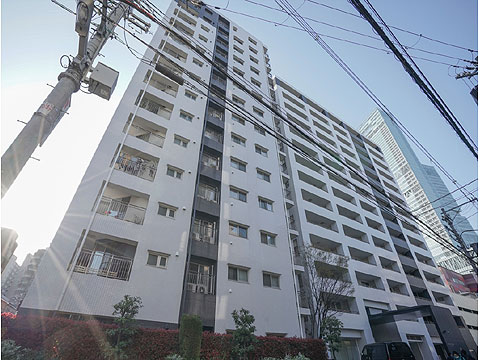 現地外観写真 東棟