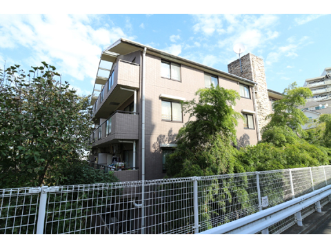 現地外観写真 外観