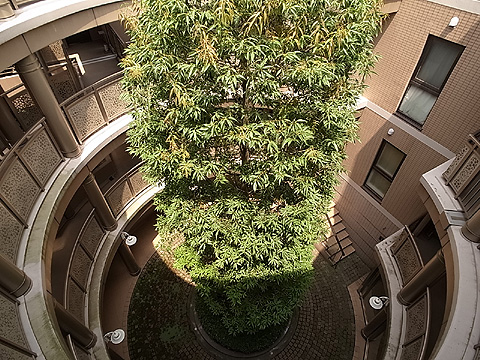 その他共用部 パティオ(中庭)