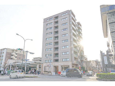 現地外観写真 外観