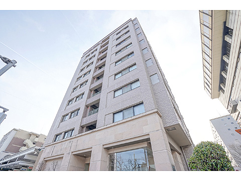 現地外観写真 外観