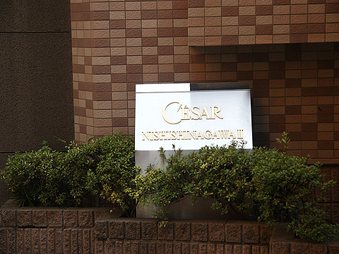 その他共用部　写真1