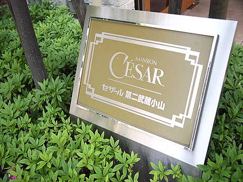 その他共用部　写真1