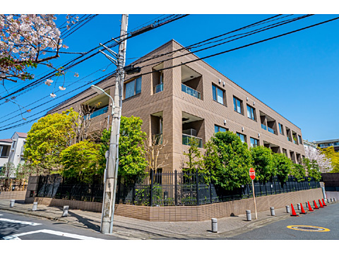 現地外観写真 外観