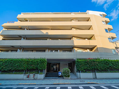 現地外観写真 外観