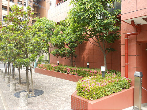 その他共用部 現地写真:エントランスアプローチ前