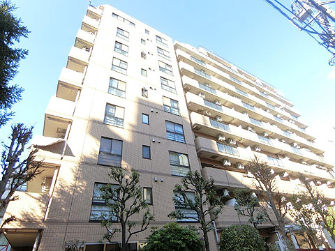 現地外観写真 外観