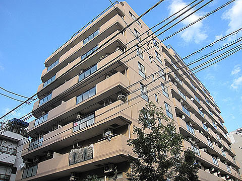 現地外観写真 外観