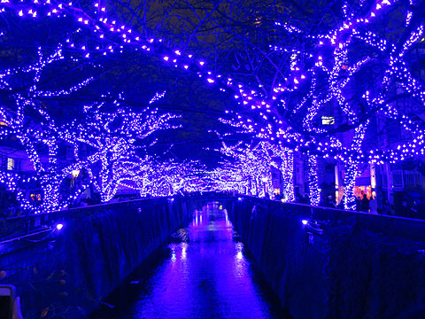 その他共用部 目黒川(約300m)イルミネーション期間:平成