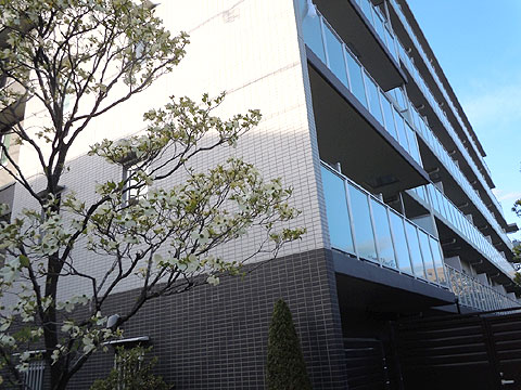 現地外観写真　外観