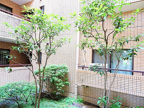 その他共用部 19中庭