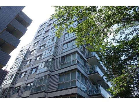 現地外観写真 外観