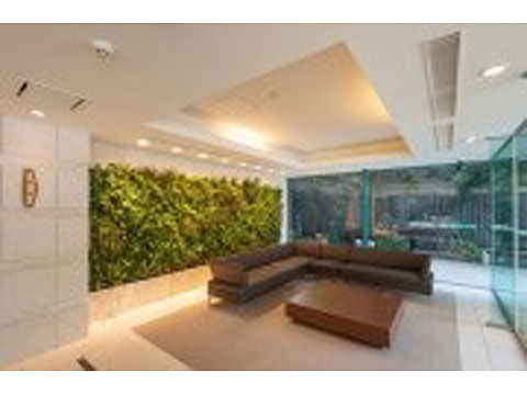 ロビー　写真 共用部　ガラス越しに望むパテオの緑