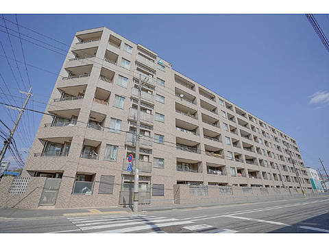 現地外観写真 外観