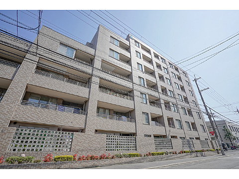 現地外観写真 外観