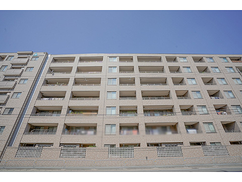 現地外観写真 外観