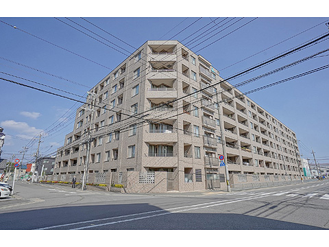 現地外観写真 外観