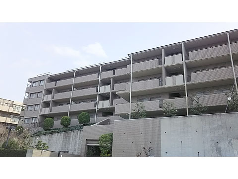 現地外観写真 外観