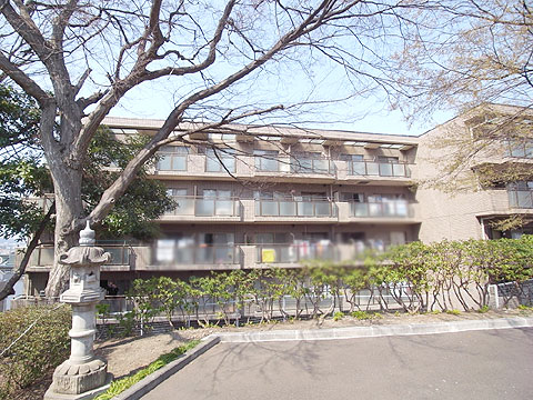 現地外観写真 外観