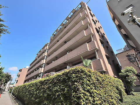 現地外観写真　T000047583 (10)