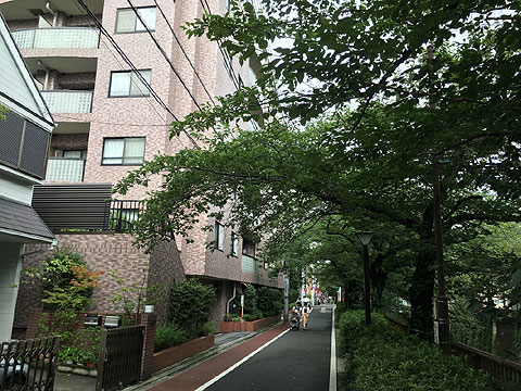 現地外観写真 エントランス前の桜並木