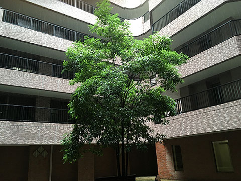 現地外観写真 建物内観