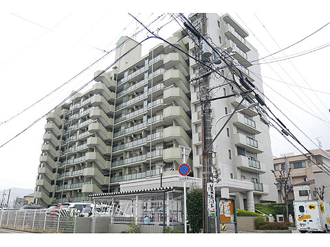 現地外観写真 鉄筋コンクリート造地上10階建て、総戸数88戸