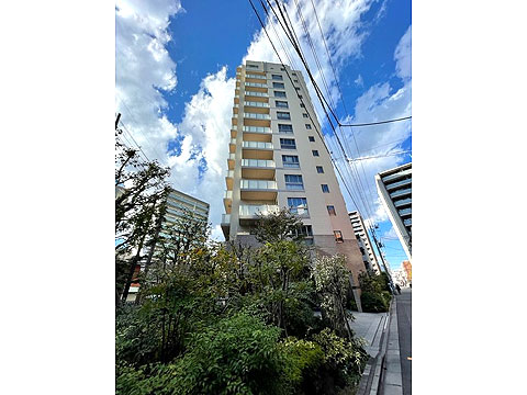 現地外観写真 外観