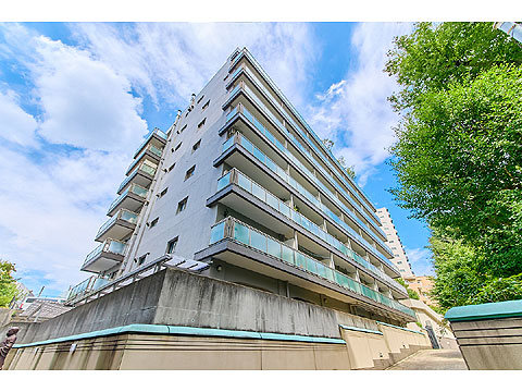 現地外観写真　総戸数46戸