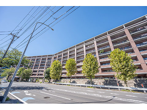 現地外観写真 外観5