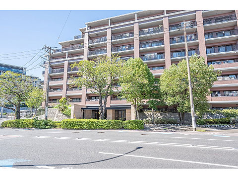 現地外観写真 外観6