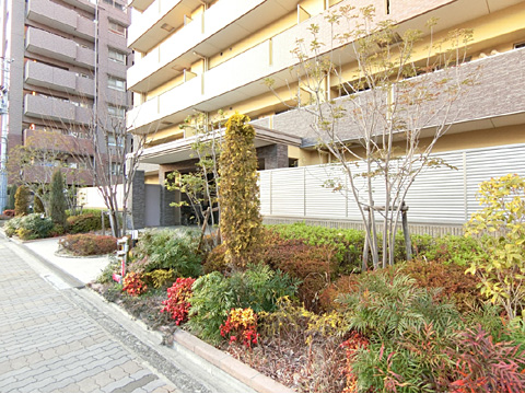 現地外観写真 植栽