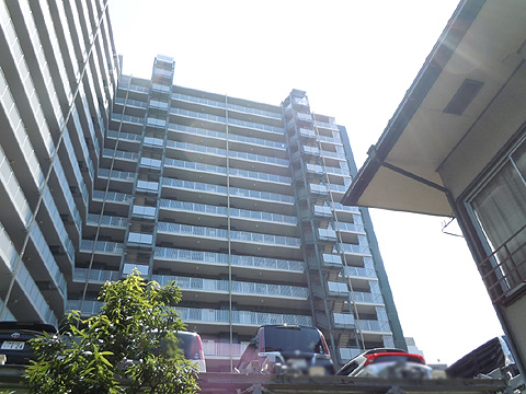 現地外観写真 外観