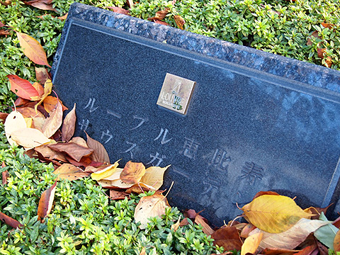 その他共用部　写真1