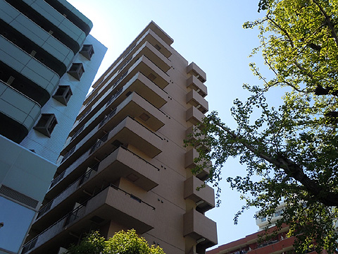 現地外観写真　外観