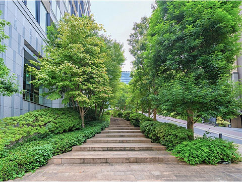 エントランス エントランス