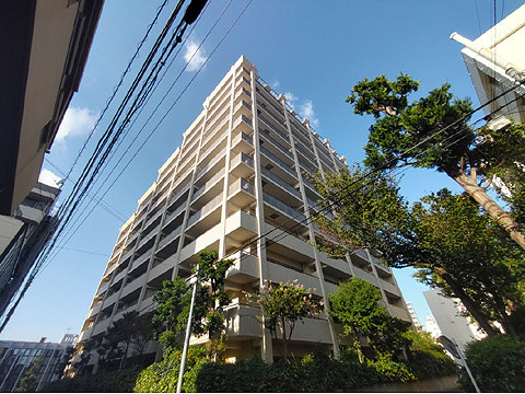 現地外観写真 外観