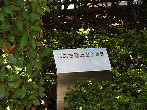 その他共用部　写真1