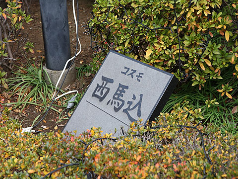 その他共用部　写真１